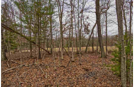 5.34 ACRES Trout Road, Wisconsin Dells, WI 53965