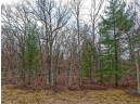 5.34 ACRES Trout Road, Wisconsin Dells, WI 53965