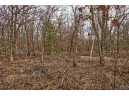 5.34 ACRES Trout Road, Wisconsin Dells, WI 53965