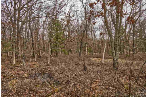 5.34 ACRES Trout Road, Wisconsin Dells, WI 53965