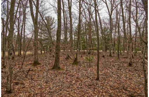 5.34 ACRES Trout Road, Wisconsin Dells, WI 53965