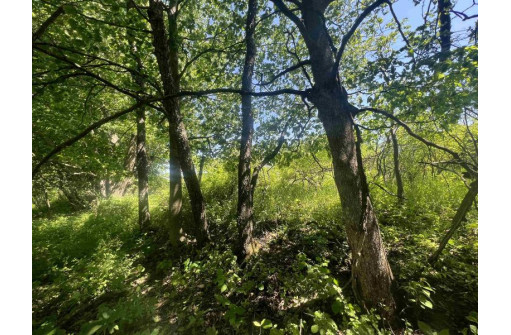 LOT 1085 Miller Road, La Valle, WI 53941