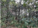 LOT 9 Fairway Lane, Wisconsin Dells, WI 53965