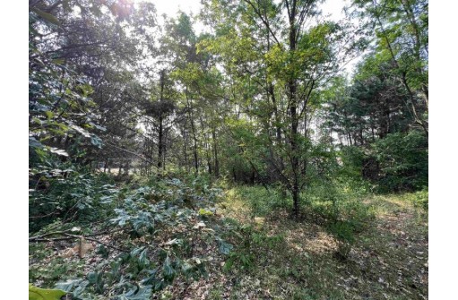 LOT 9 Fairway Lane, Wisconsin Dells, WI 53965