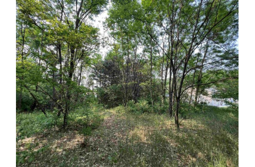 LOT 9 Fairway Lane, Wisconsin Dells, WI 53965