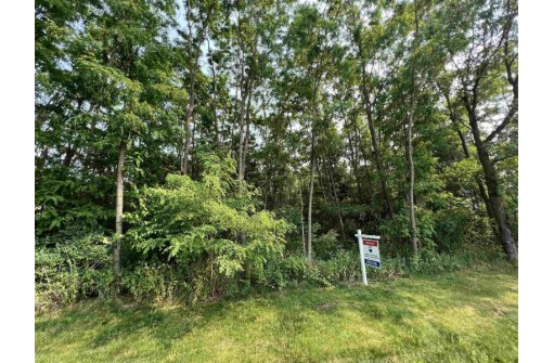 LOT 9 Fairway Lane, Wisconsin Dells, WI 53965