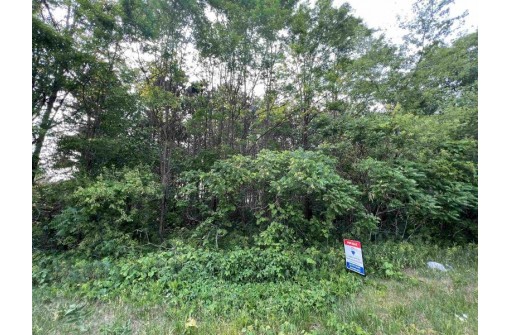 LOT 9 Fairway Lane, Wisconsin Dells, WI 53965