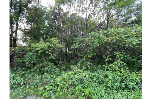 LOT 9 Fairway Lane, Wisconsin Dells, WI 53965