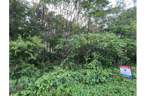 LOT 9 Fairway Lane, Wisconsin Dells, WI 53965