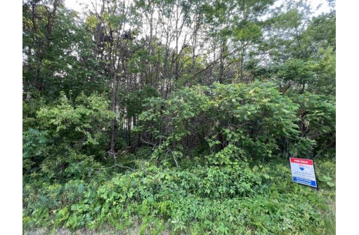 LOT 9 Fairway Lane, Wisconsin Dells, WI 53965