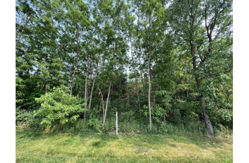 LOT 9 Fairway Lane, Wisconsin Dells, WI 53965