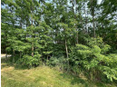 LOT 9 Fairway Lane, Wisconsin Dells, WI 53965