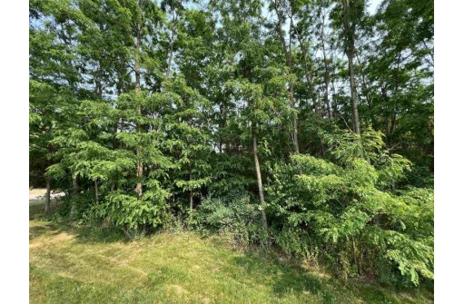 LOT 9 Fairway Lane, Wisconsin Dells, WI 53965