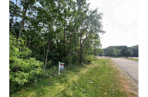 LOT 9 Fairway Lane, Wisconsin Dells, WI 53965