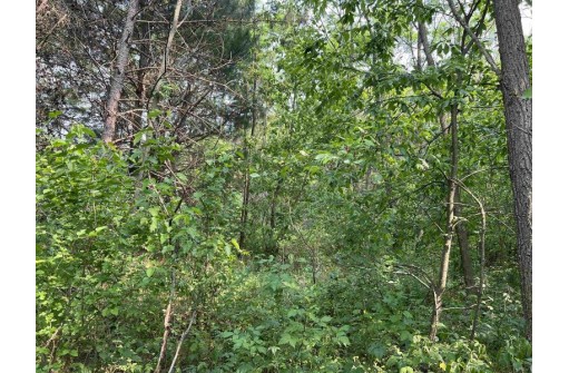 LOT 9 Fairway Lane, Wisconsin Dells, WI 53965