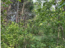 LOT 9 Fairway Lane, Wisconsin Dells, WI 53965