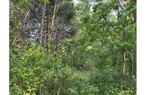 LOT 9 Fairway Lane, Wisconsin Dells, WI 53965