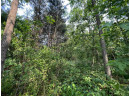 LOT 9 Fairway Lane, Wisconsin Dells, WI 53965