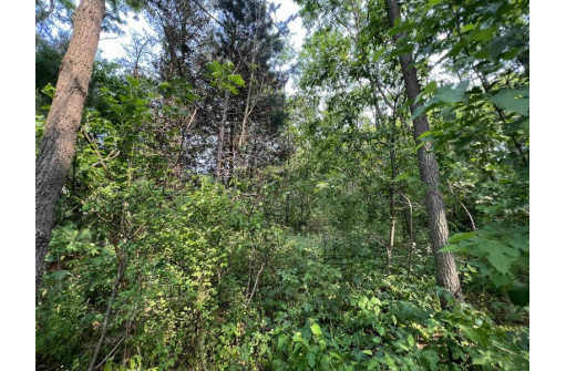 LOT 9 Fairway Lane, Wisconsin Dells, WI 53965