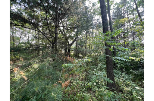 LOT 9 Fairway Lane, Wisconsin Dells, WI 53965