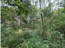 LOT 9 Fairway Lane, Wisconsin Dells, WI 53965