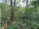 LOT 9 Fairway Lane, Wisconsin Dells, WI 53965