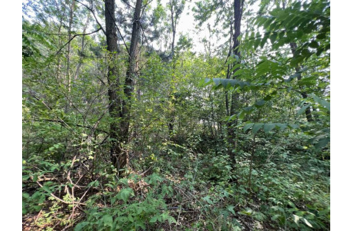 LOT 9 Fairway Lane, Wisconsin Dells, WI 53965