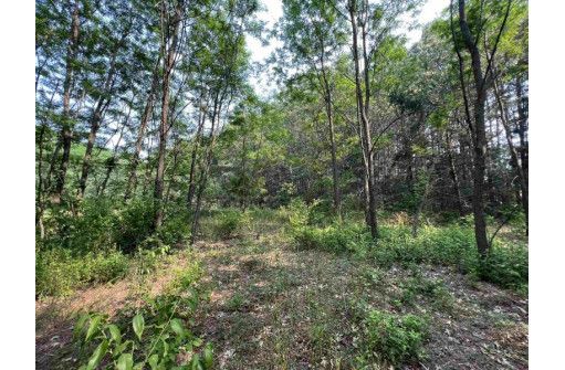 LOT 9 Fairway Lane, Wisconsin Dells, WI 53965