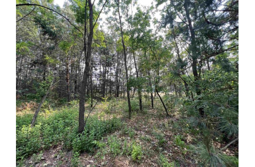 LOT 9 Fairway Lane, Wisconsin Dells, WI 53965