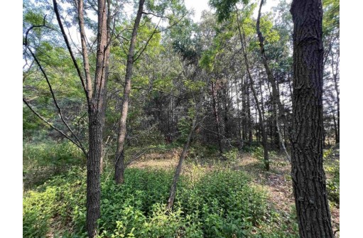 LOT 9 Fairway Lane, Wisconsin Dells, WI 53965