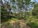 LOT 9 Fairway Lane, Wisconsin Dells, WI 53965