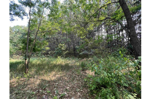 LOT 9 Fairway Lane, Wisconsin Dells, WI 53965