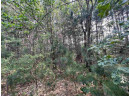 LOT 9 Fairway Lane, Wisconsin Dells, WI 53965