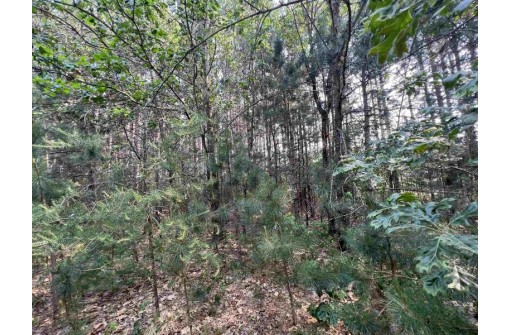 LOT 9 Fairway Lane, Wisconsin Dells, WI 53965