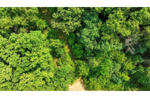 32.7+/- ACRES Oak Glen Circle, Lyndon Station, WI 53944