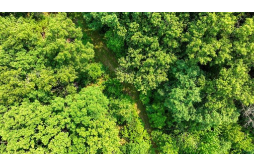 32.7+/- ACRES Oak Glen Circle, Lyndon Station, WI 53944