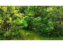 32.7+/- ACRES Oak Glen Circle, Lyndon Station, WI 53944