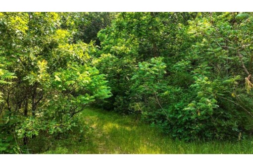 32.7+/- ACRES Oak Glen Circle, Lyndon Station, WI 53944