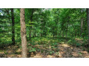 32.7+/- ACRES Oak Glen Circle, Lyndon Station, WI 53944