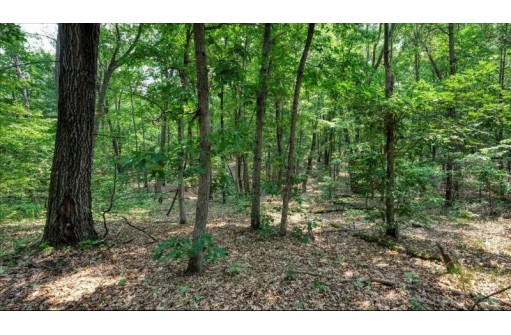 32.7+/- ACRES Oak Glen Circle, Lyndon Station, WI 53944