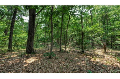 32.7+/- ACRES Oak Glen Circle, Lyndon Station, WI 53944