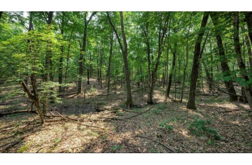 32.7+/- ACRES Oak Glen Circle, Lyndon Station, WI 53944