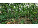 32.7+/- ACRES Oak Glen Circle, Lyndon Station, WI 53944