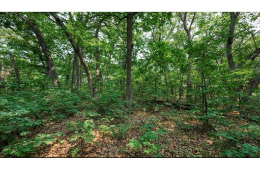 32.7+/- ACRES Oak Glen Circle, Lyndon Station, WI 53944