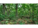 32.7+/- ACRES Oak Glen Circle, Lyndon Station, WI 53944