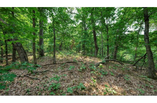 32.7+/- ACRES Oak Glen Circle, Lyndon Station, WI 53944