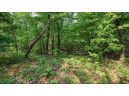 32.7+/- ACRES Oak Glen Circle, Lyndon Station, WI 53944