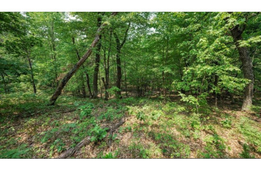 32.7+/- ACRES Oak Glen Circle, Lyndon Station, WI 53944