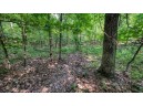 32.7+/- ACRES Oak Glen Circle, Lyndon Station, WI 53944