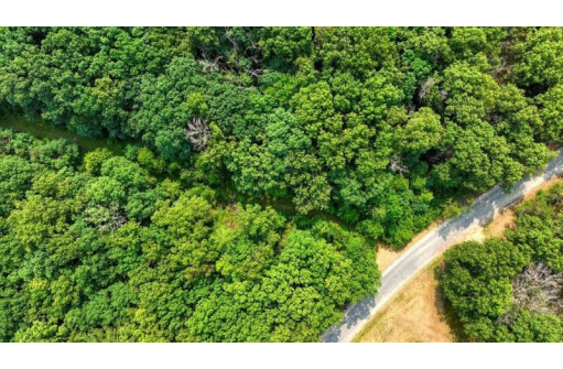 32.7+/- ACRES Oak Glen Circle, Lyndon Station, WI 53944